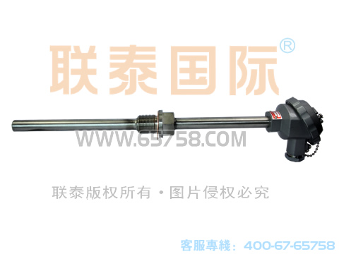 WREN2-230/WREN2-220  装配式双支耐磨热电偶 