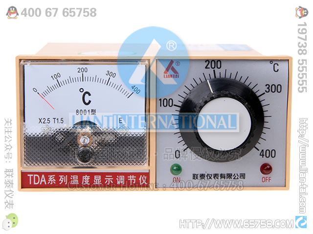 TDA-8002H 温度显示调节仪